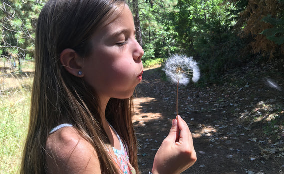 Dandelion Wishes and Fairy Tales: The Magic of Childhood Imagination
