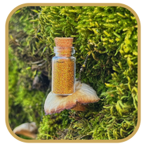 Fairy Dust