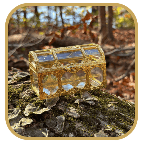 Golden Treasure Chest