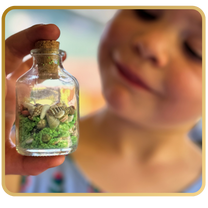 Fairy Beach in a Bottle