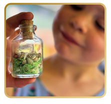 Fairy Beach in a Bottle