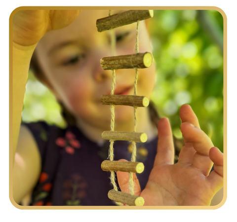 Ladder to Fairyland