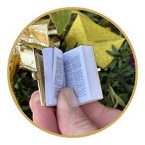 Fairy Bible